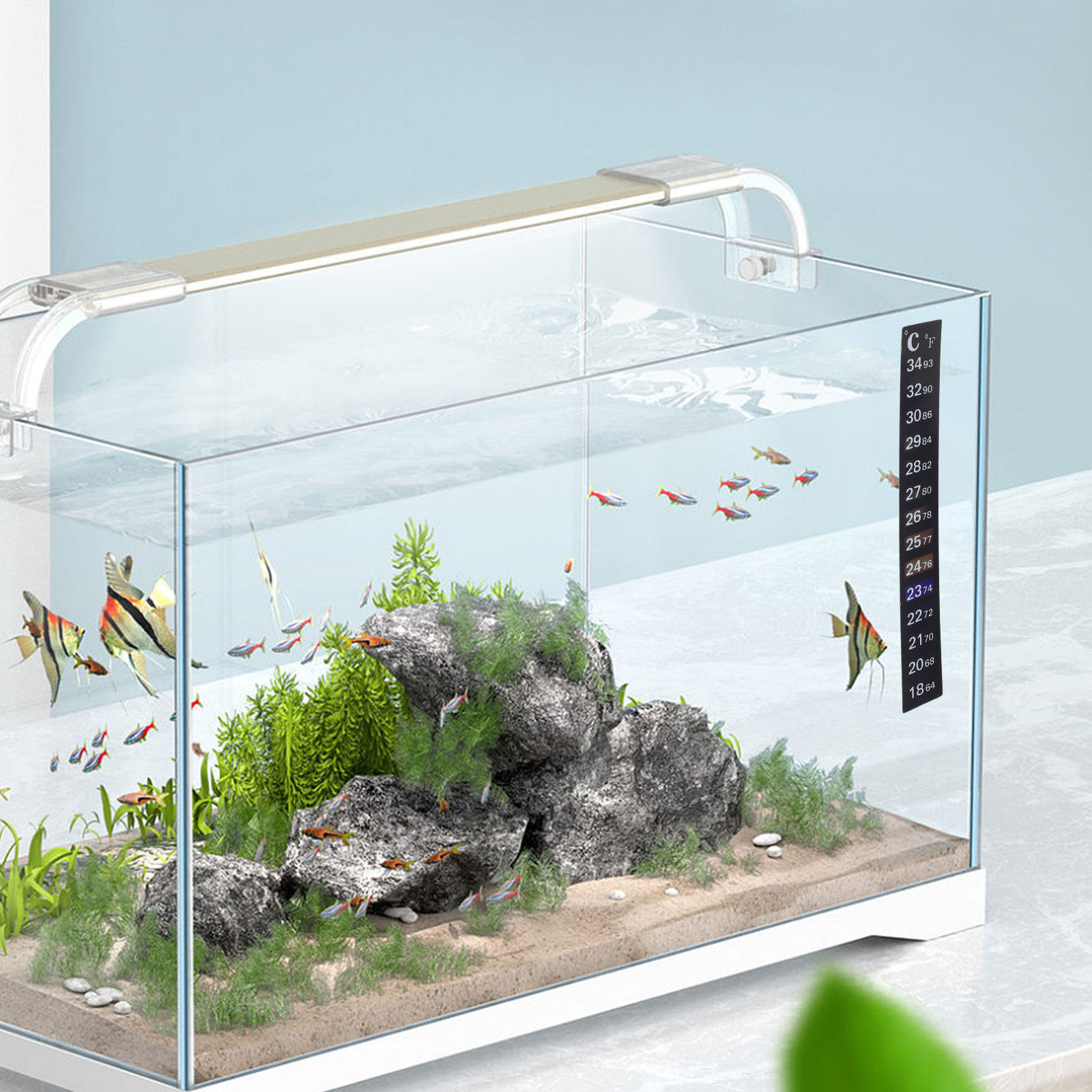 2Pcs Stick Aquarium Thermomete - Temperature Strip Thermometer ulasan dan harga
